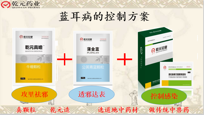 新蓝健组合